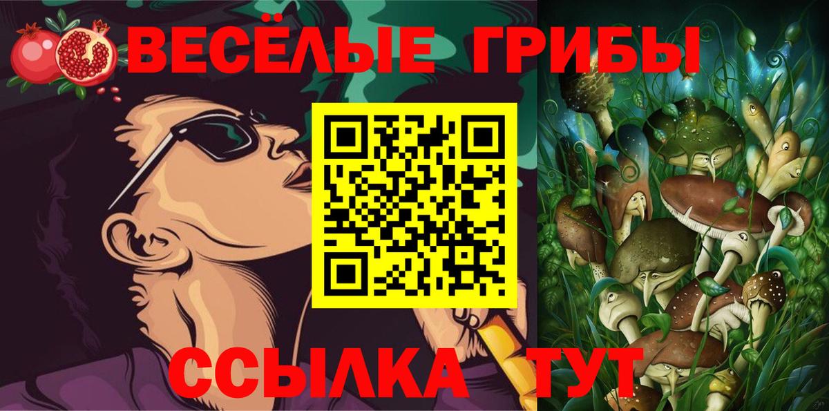 Галлюциногенные грибы Cubensis  Вход с VPN  Горно-Алтайск 